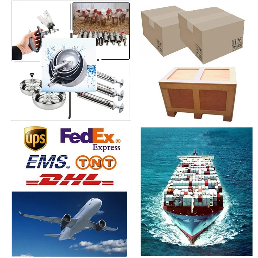 product-850-850 product-850-850