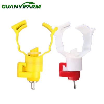 Bebedouro para pássaros