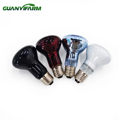 R63 luz infravermelha para animal de estimação