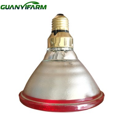 Red Heat Bulb For Chickens