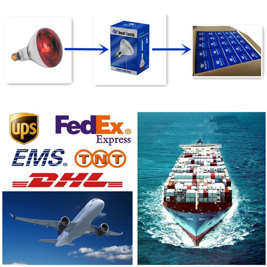 Packaging and Delivery of infrared 100w bulb Packaging and Delivery of infrared 100w bulb