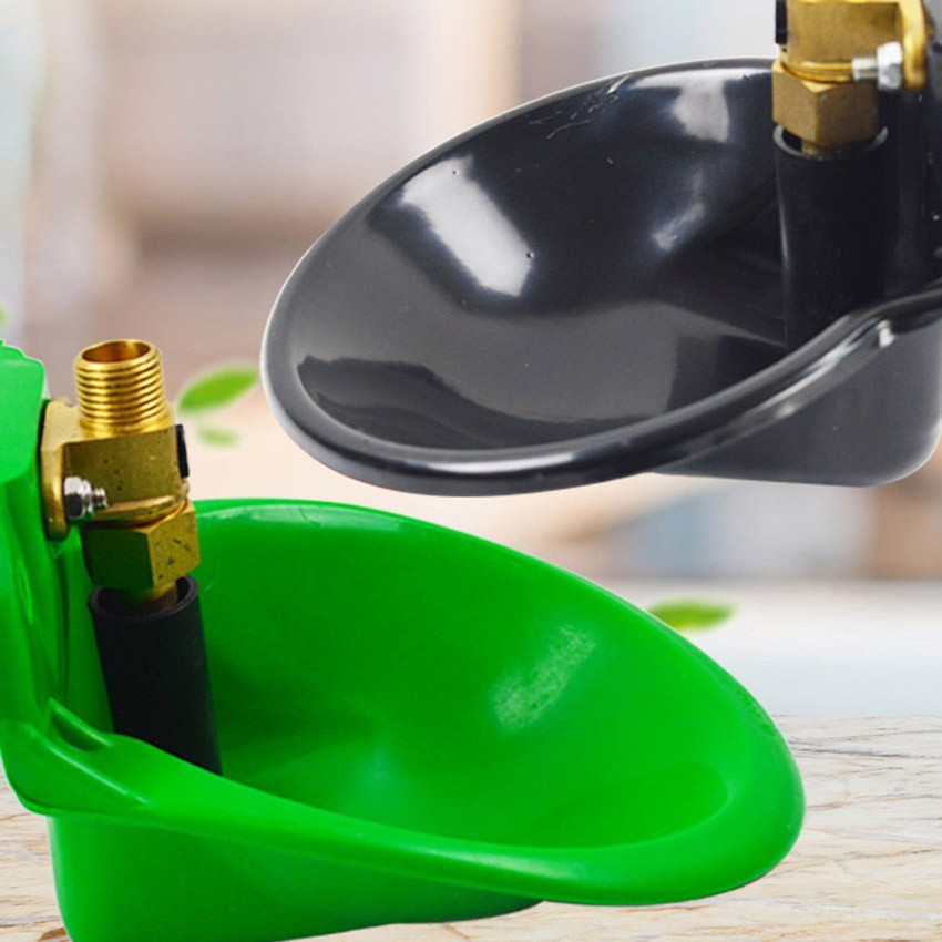 product-850-850 product-850-850