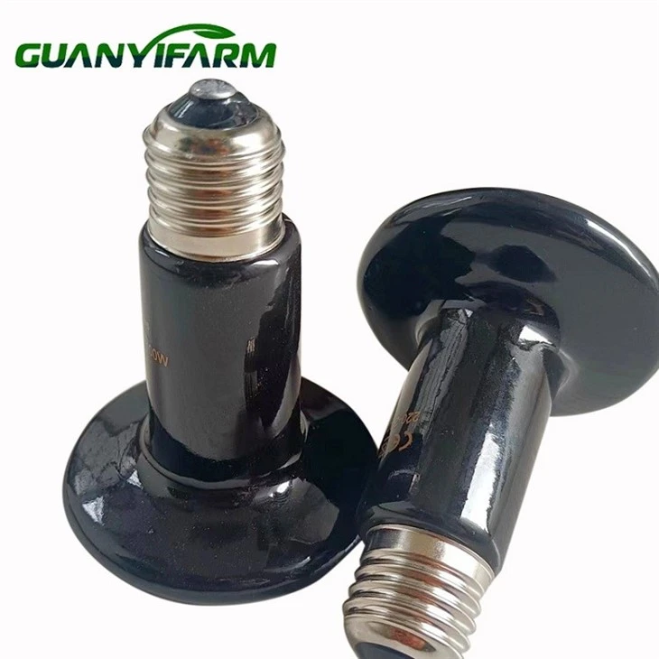 Reptile Ceramic Heat Lamp